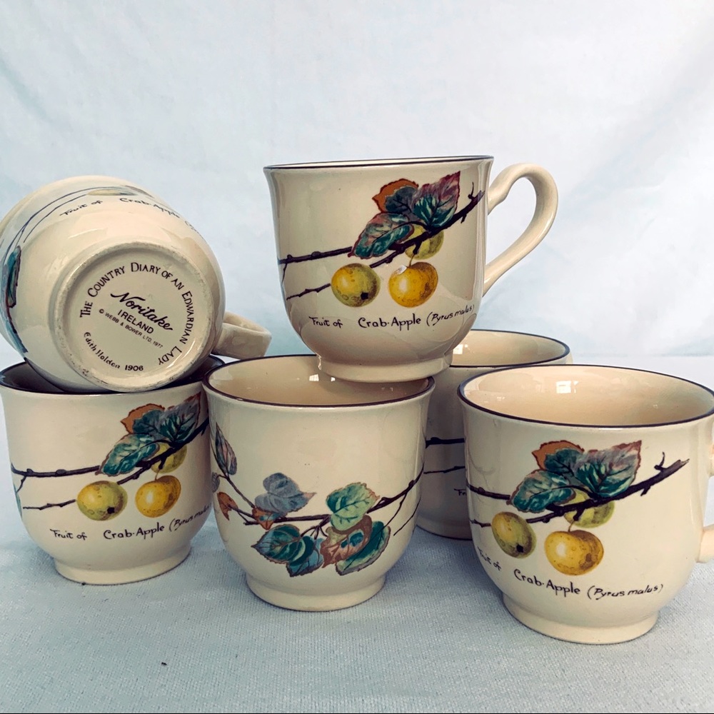 Noritake Country Diary of an Edwardian Lady Cups (6)